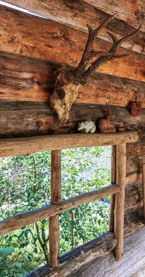 Вуличок Διαμέρισμα Kamianets-Podilskyi Εξωτερικό φωτογραφία